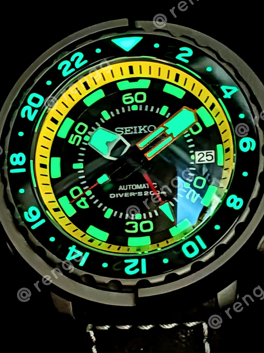 47mm Titanium Seiko GMT Tuna Canned Men's Automatic Diver Mod Watch Sapphire